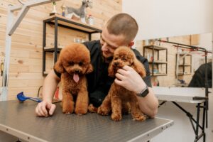 un toiletteur et ses deux chiens