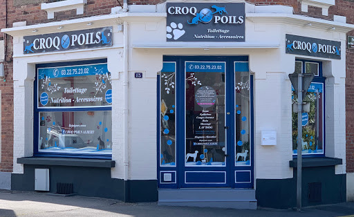 Croq poils Albert, salon de toilettage sur Groomie.fr et au 15 Av. de la République, 80300 Albert