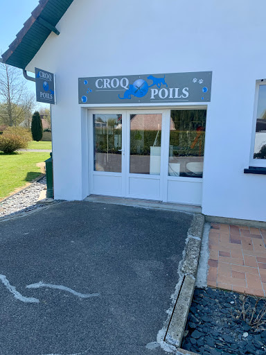 Croq poils, salon de toilettage sur Groomie.fr et au 51 Voy Saint-Sulpice, 80600 Doullens