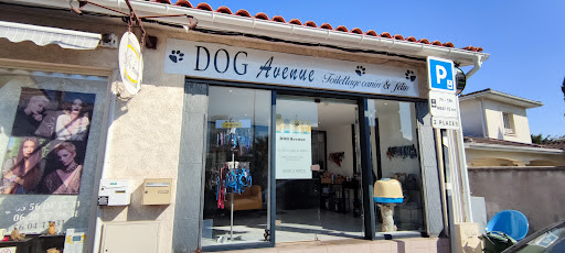 Dog Avenue, salon de toilettage sur Groomie.fr et au 74 Bd Georges Clemenceau, 83700 Saint-Raphaël