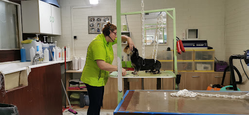 DOG S HAIR, salon de toilettage sur Groomie.fr et au 103 ter Rue Jules Guesde, 93220 Gagny