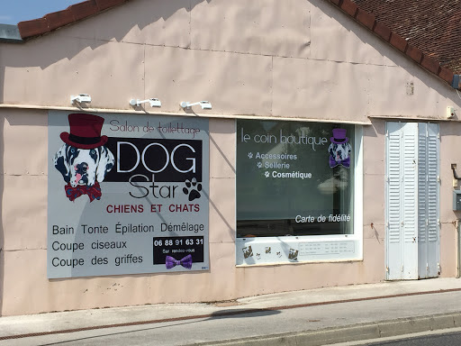 Dog Star, salon de toilettage sur Groomie.fr et au 17 bis Rue de Vaure, 31250 Revel