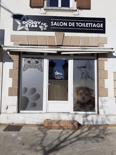 DOGGY STAR, salon de toilettage sur Groomie.fr et au 112 Av. nationale, 40230 Saint-Vincent-de-Tyrosse
