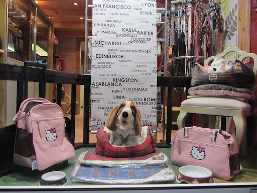 DOGGYDOUX TOILETTAGE, salon de toilettage sur Groomie.fr et au 16 Rue de Moellesulaz, 74240 Gaillard