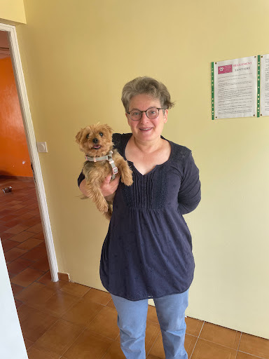 DOGTIF, salon de toilettage sur Groomie.fr et au 36 Av. de Foncirgue, 9600 La Bastide-sur-l'Hers