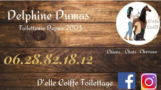 D'elle Coiffe Toilettage, salon de toilettage sur Groomie.fr et au 228 Rue Gaston Teissier, 30900 Nîmes