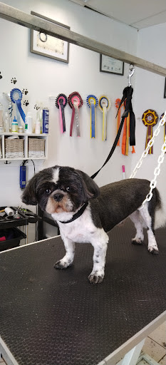 Détente Canine, salon de toilettage sur Groomie.fr et au 4 Rue de la Fontaine, 89330 Saint-Julien-du-Sault