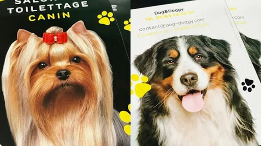 Dog & Doggy, salon de toilettage sur Groomie.fr et au 3 Grand Rue, 81580 Soual