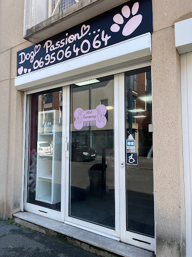Dog Passion - Toilettage, salon de toilettage sur Groomie.fr et au 34 Rue François Mouthon, 91380 Chilly-Mazarin