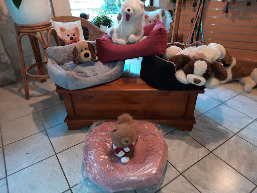 Dog Toilettage, salon de toilettage sur Groomie.fr et au 33 Av. Jean Jaurès, 30700 Uzès