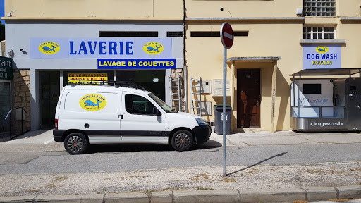 Dog Wash Six-Fours, salon de toilettage sur Groomie.fr et au 696 Av. Maréchal de Lattre de Tassigny, 83140 Six-Fours-les-Plages