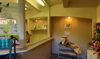Dog&Cat's Beauté, salon de toilettage sur Groomie.fr et au 5 Trav. des Lauriers Roses, 83120 Sainte-Maxime