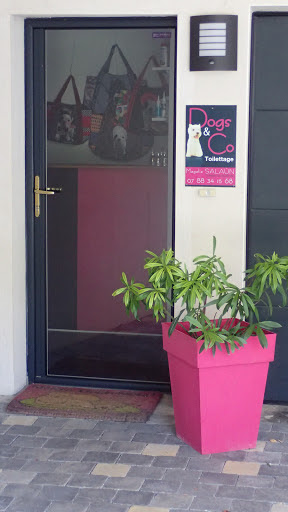 Dogs & Co, salon de toilettage sur Groomie.fr et au La ville Aubin, 56130 Nivillac