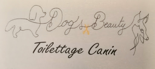 Dog's beauty, salon de toilettage sur Groomie.fr et au 10 Rue Principale, 31800 Pointis-Inard