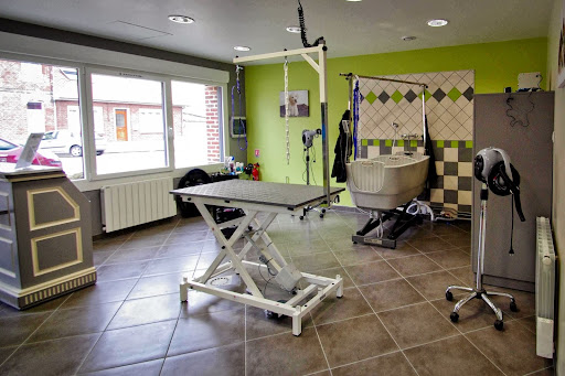 Dog'story, salon de toilettage sur Groomie.fr et au 20 Av. François Mitterrand, 80700 Roye