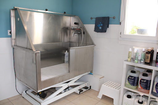 Du domaine de l'Aubinière, salon de toilettage sur Groomie.fr et au L'Aubinière, 35150 Janzé