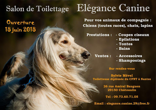 Élégance canine, salon de toilettage sur Groomie.fr et au 4 Pl. de la Cathédrale, 33430 Bazas