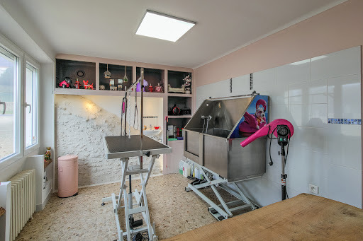 Elegance Toilettage, salon de toilettage sur Groomie.fr et au 31 Rue Abbé Pasty, 45130 Baule