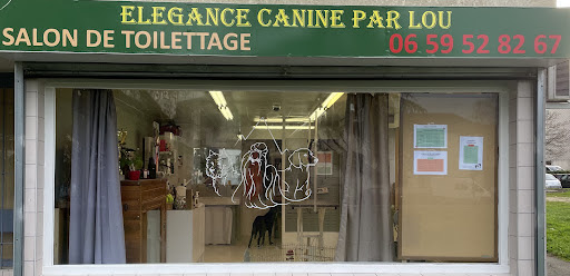 Élégance canine par Lou, salon de toilettage sur Groomie.fr et au 13 Av. Federico Garcia Lorca, 64000 Pau