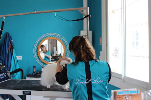 Embel'Lyre, salon de toilettage sur Groomie.fr et au 3 Pl. du Souvenir, 82370 Reyniès