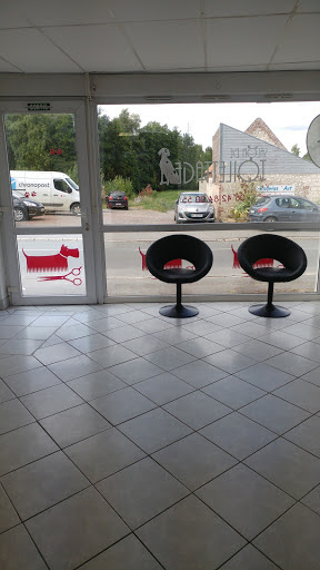 Empreinte de Style, toiletteur comportementaliste, salon de toilettage sur Groomie.fr et au 13 Rue Julien Hermant, 62690 Aubigny-en-Artois