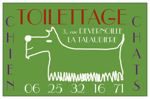 Entre Chien et Chat, salon de toilettage sur Groomie.fr et au 129 Rte d'Orléans, 45370 Cléry-Saint-André