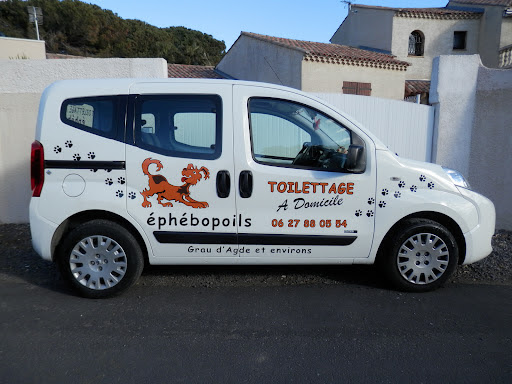 Ephebopoils, salon de toilettage sur Groomie.fr et au 27 bis Chem. Fin de Siècle, 34300 Agde