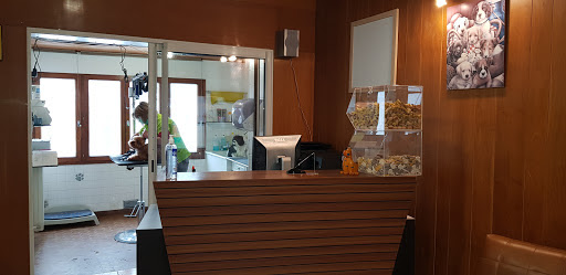 Espace Nature, salon de toilettage sur Groomie.fr et au 34 Av. Baptiste Marcet, 43000 Le Puy