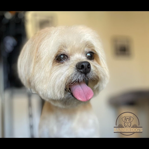 Esteban Barber Dog's, salon de toilettage sur Groomie.fr et au 388 Rue André Malraux, 7500 Guilherand-Granges
