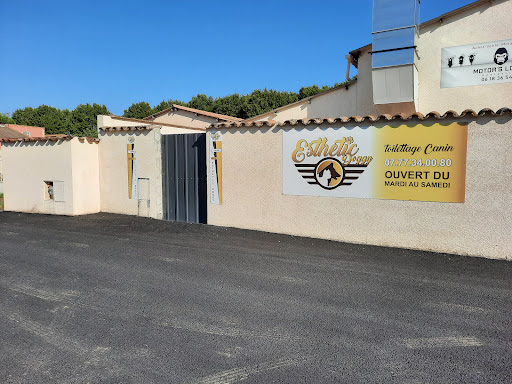 Esthetic Doggy, salon de toilettage sur Groomie.fr et au 12 Chem. du Courtet, 34110 Vic-la-Gardiole
