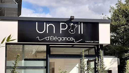Eurl Un Poil d'Élégance, salon de toilettage sur Groomie.fr et au 5 Av. Eric Tabarly, 56880 Ploeren