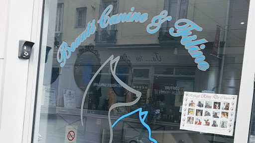 Eurochiens, salon de toilettage sur Groomie.fr et au 111 Rue Louis Rouquier, 92300 Levallois-Perret