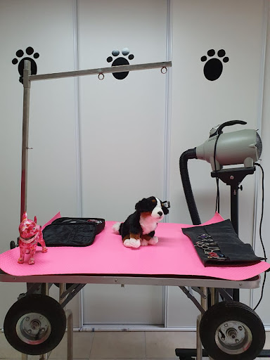 Faites le Beau Toilettage, salon de toilettage sur Groomie.fr et au 601 RUE DE L'ETANG DES NOUES, 45210 Rozoy-le-Vieil