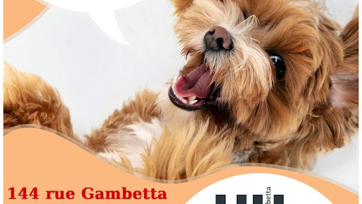 Fluffy & Co - Toilettage, salon de toilettage sur Groomie.fr et au 144 Rue Léon Gambetta, 59243 Quarouble