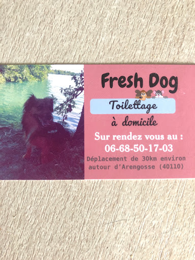 Fresh dog, salon de toilettage sur Groomie.fr et au 560 Rte du Qur d'Armentieu, 40110 Arengosse