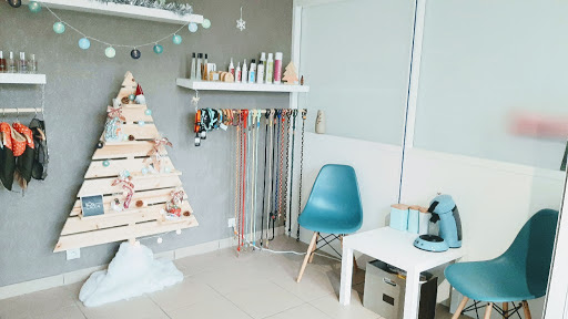 HAPPY TOUTOU, salon de toilettage sur Groomie.fr et au 22 Rue Massenet, 64110 Jurançon