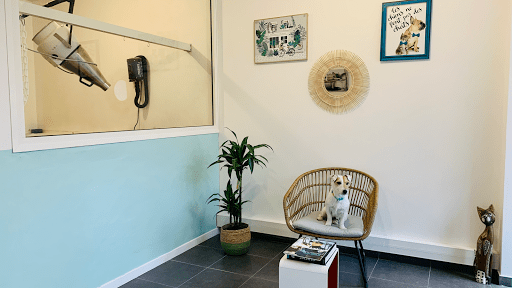 Happy Dog, salon de toilettage sur Groomie.fr et au 34 Pl. Lamartine, 83700 Saint-Raphaël