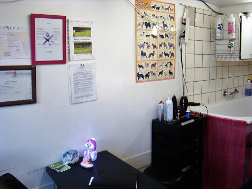 Helene Toilettage chiens et chats, salon de toilettage sur Groomie.fr et au 18 Rue de l'Île Maurice, 2300 Blérancourt