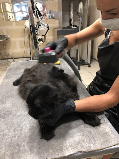 Id'fix, salon de toilettage sur Groomie.fr et au centre commercial arcadia, 555 Rte de Draguignan, 83720 Trans-en-Provence