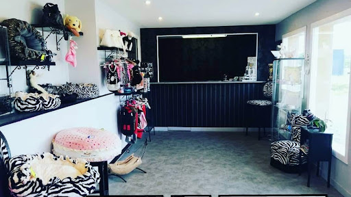 Indiana dog, salon de toilettage sur Groomie.fr et au Route de Bachelin Zone artisanale le, Lantey, 38510 Passins