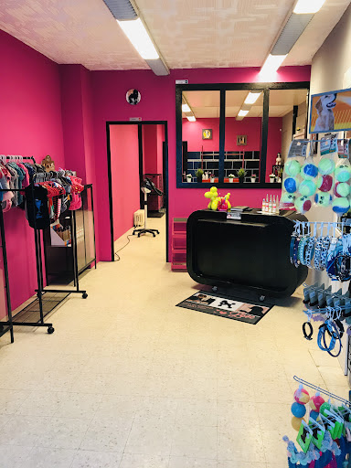 Jack's Curls, salon de toilettage sur Groomie.fr et au 32 Rue des Déportés, 59154 Crespin