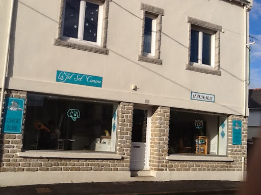 Jet Set Canine, salon de toilettage sur Groomie.fr et au 21 Rue Louis Mehu, 29120 Plomeur