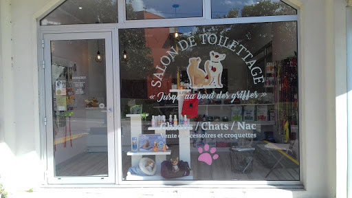 Jusqu'au Bout Des Griffes - Toiletteur pour chiens, chats et nac à Chantepie, près de Rennes, salon de toilettage sur Groomie.fr et au 4 Pl. des Marelles, 35135 Chantepie