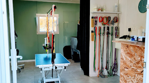 Kani'Koiff, salon de toilettage sur Groomie.fr et au 9 Chem. Labielle, 64300 Biron