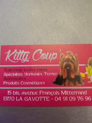 Kitty Coupe, salon de toilettage sur Groomie.fr et au 15 B Av. François Mitterrand, 13170 Les Pennes-Mirabeau