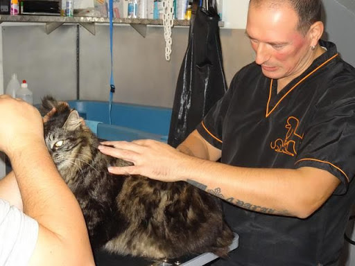 L'ATELIER by D.R DOG, salon de toilettage sur Groomie.fr et au 62 Rue Fontgieve, 63000 Clermont-Ferrand