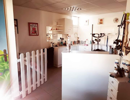 LE JARDIN DE PIF, salon de toilettage sur Groomie.fr et au 14 ter Av. de Béziers, 34450 Vias