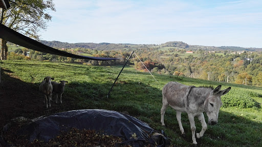 L'Empreinte d'un Passage Toilettage d'animaux, Pet-Sitter, Education et Comportementaliste Canin, salon de toilettage sur Groomie.fr et au 15 Rue des Besses, 63530 Volvic