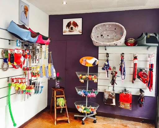 LOUNY DOG'S, salon de toilettage sur Groomie.fr et au 2 Rue du Grand Chêne, 78830 Bonnelles