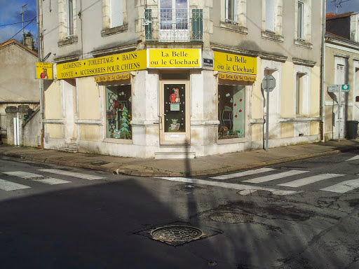 La Belle ou Le Clochard, salon de toilettage sur Groomie.fr et au 18 Rue Général Clergerie, 24000 Périgueux